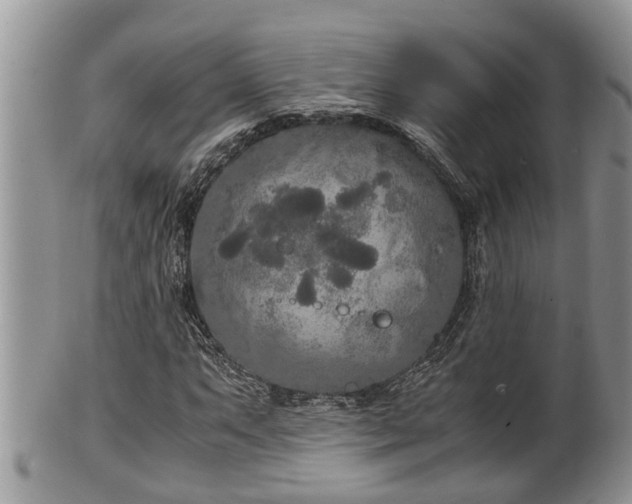 X0000102301063200808011534