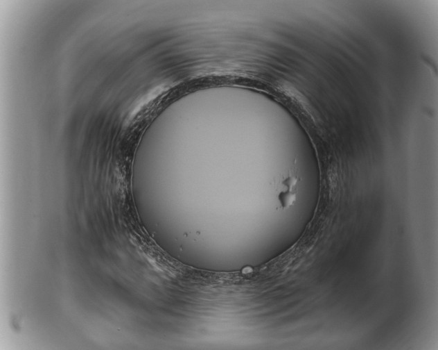 X0000102301064200808011534