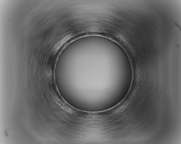 X0000102301065200808011534