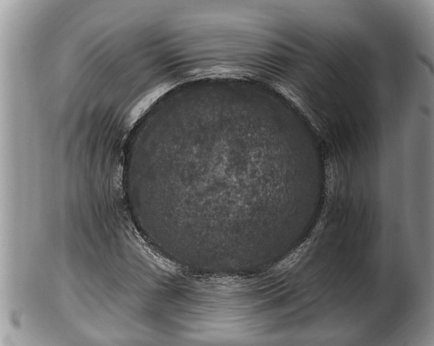 X0000102301066200808011534