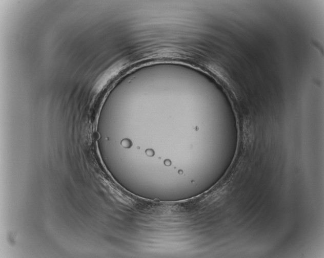 X0000102301067200808011534