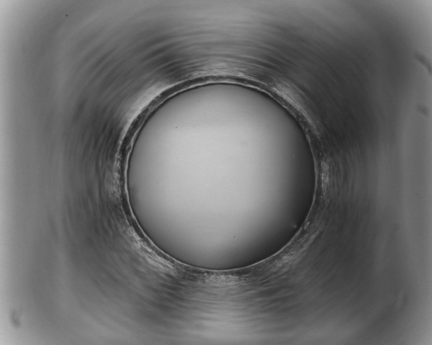 X0000102301068200808011534