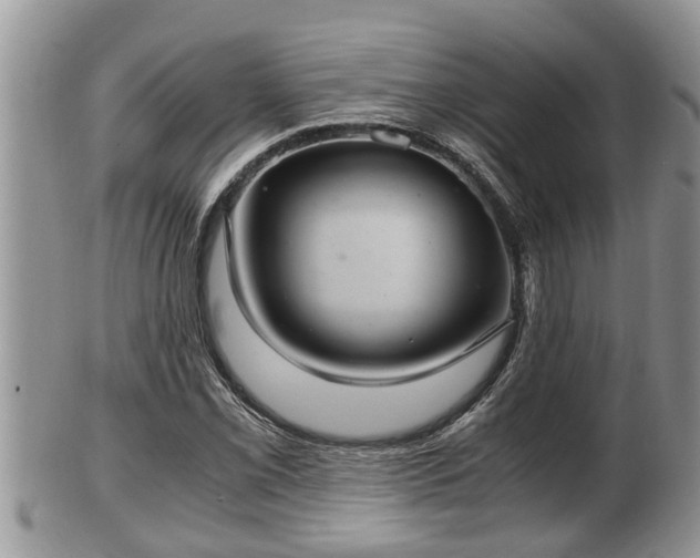 X0000102301069200808011534