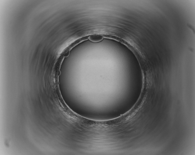 X0000102301070200808011534