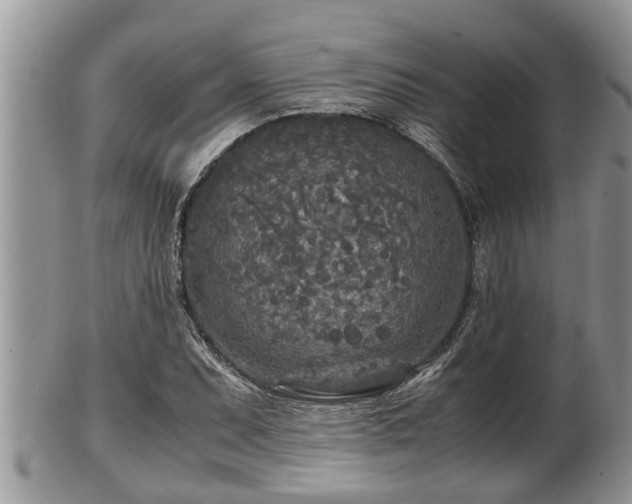 X0000102301071200808011534