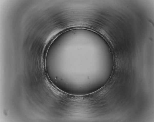 X0000102301072200808011534