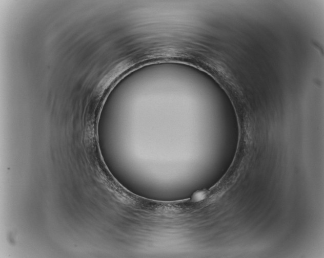 X0000102301073200808011534