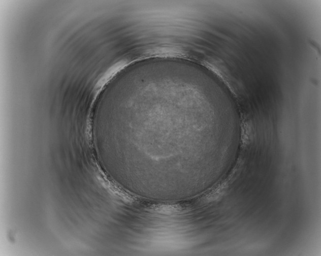 X0000102301074200808011534