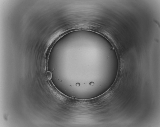 X0000102301075200808011534