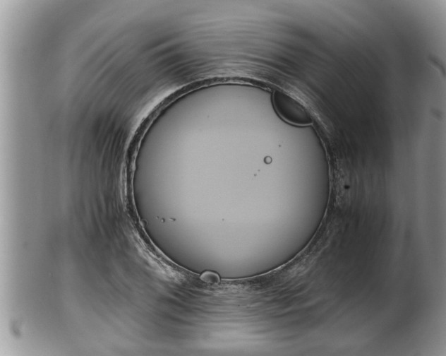 X0000102301076200808011534