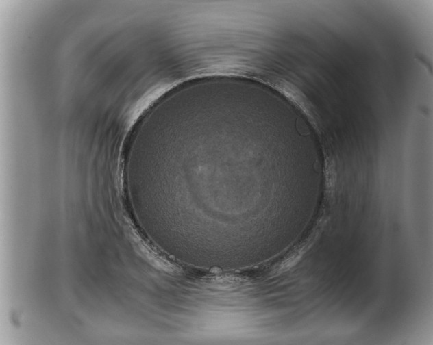 X0000102301077200808011534