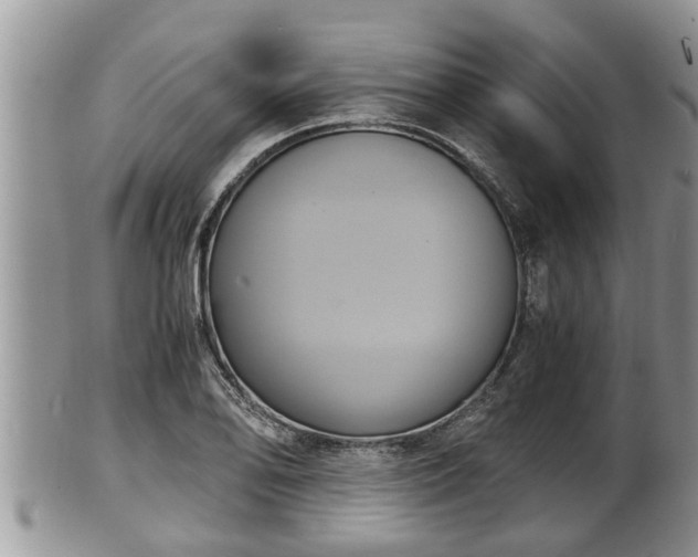 X0000102301078200808011534