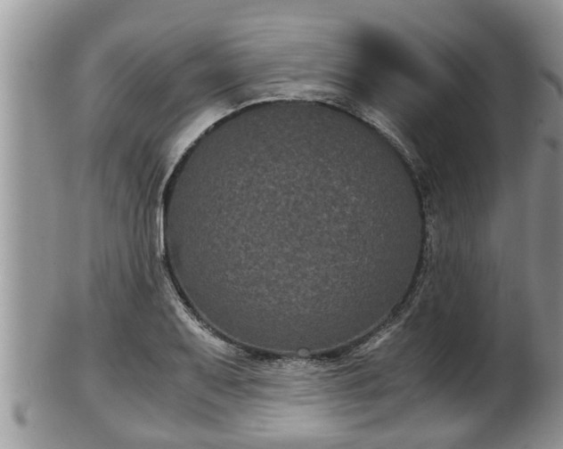 X0000102301079200808011534