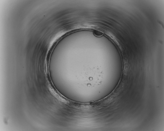 X0000102301080200808011534