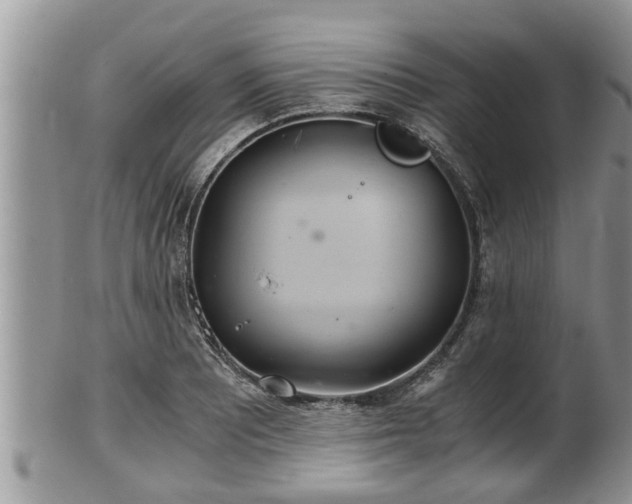 X0000102301081200808011534