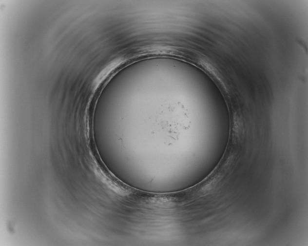 X0000102301082200808011534