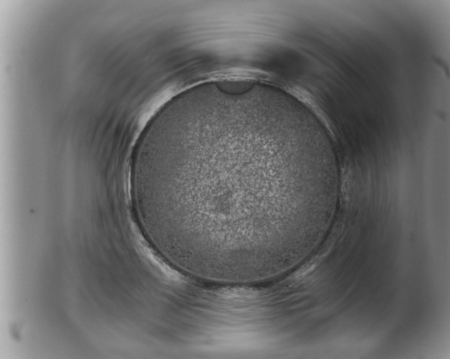 X0000102301083200808011534