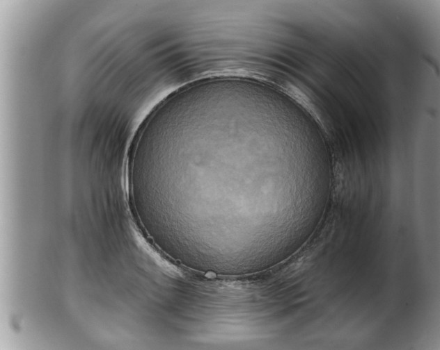 X0000102301084200808011534