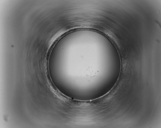 X0000102301085200808011534