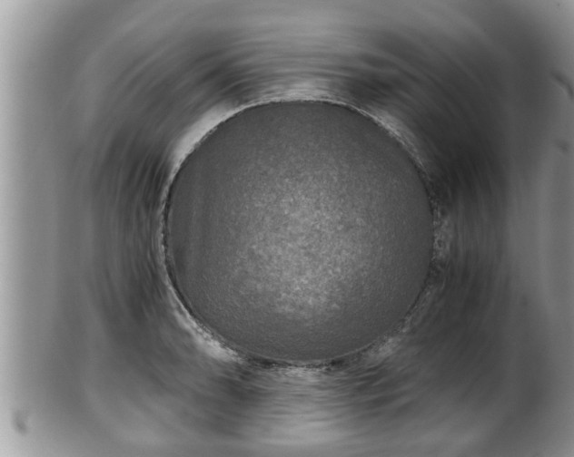 X0000102301086200808011534