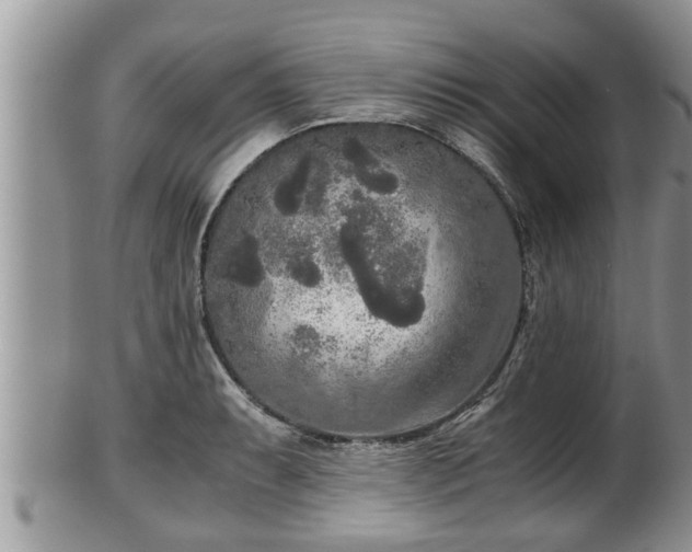 X0000102301087200808011534