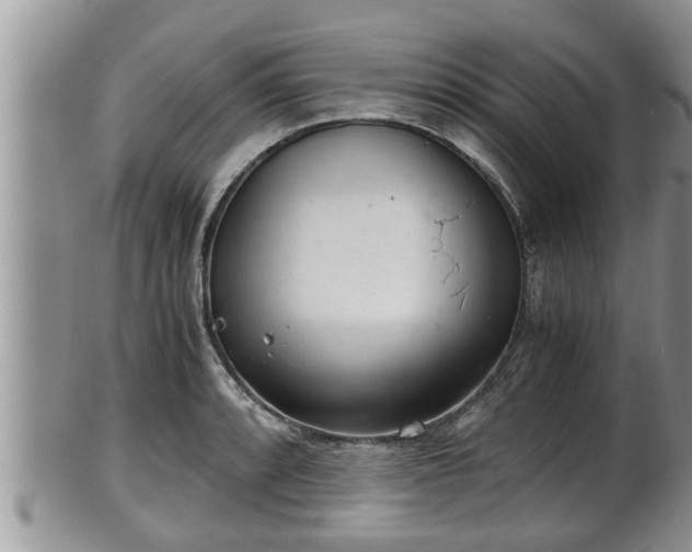 X0000102301088200808011534