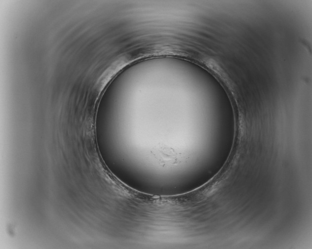 X0000102301089200808011534