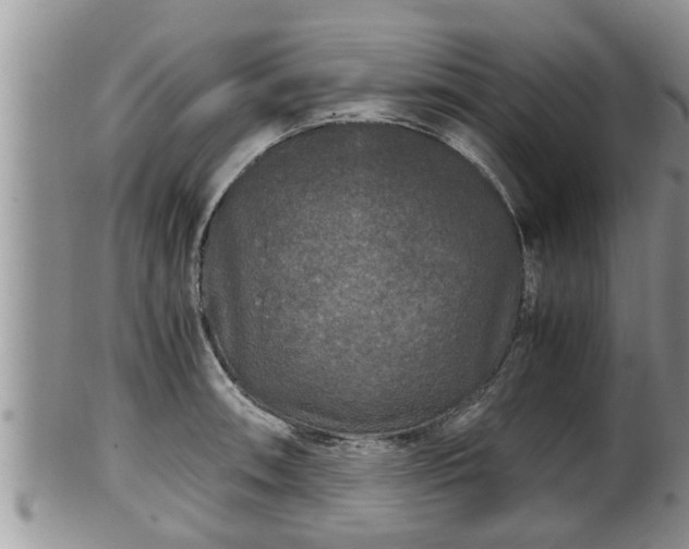 X0000102301090200808011534