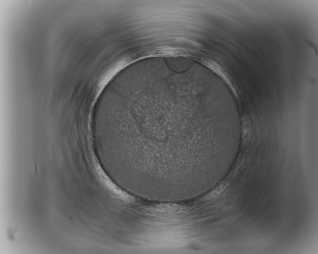 X0000102301091200808011534