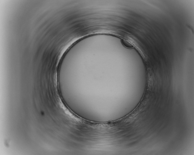 X0000102301092200808011534