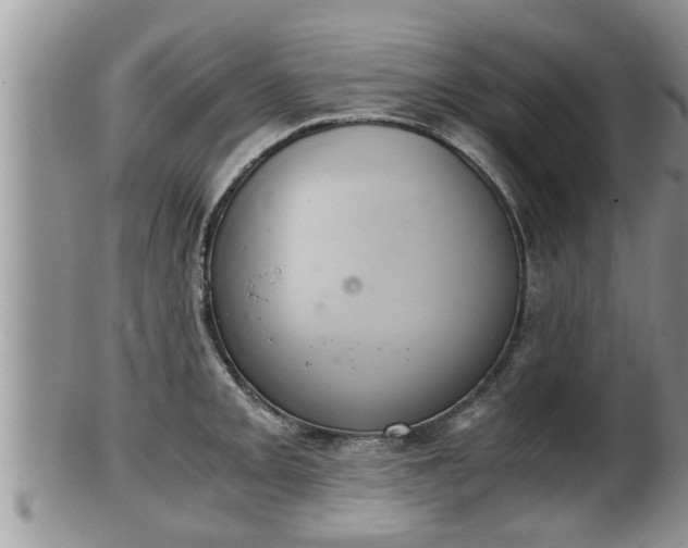 X0000102301093200808011534