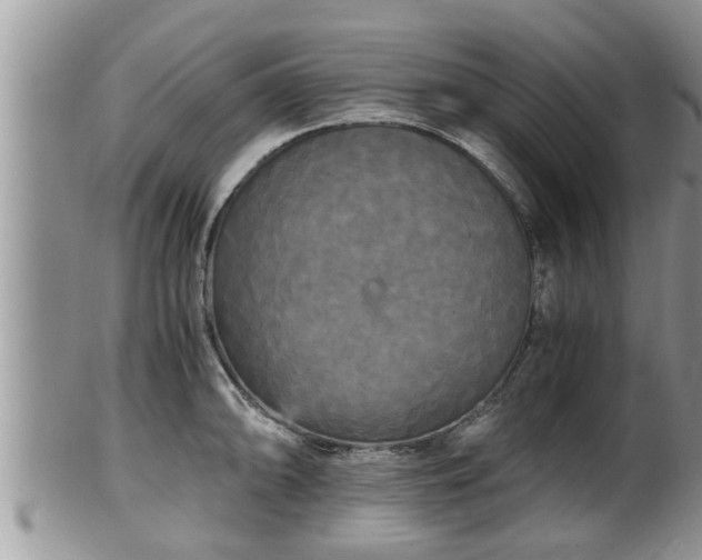 X0000102301094200808011534