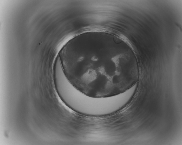 X0000102301095200808011534