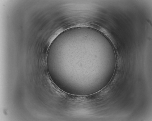 X0000102301097200808011534