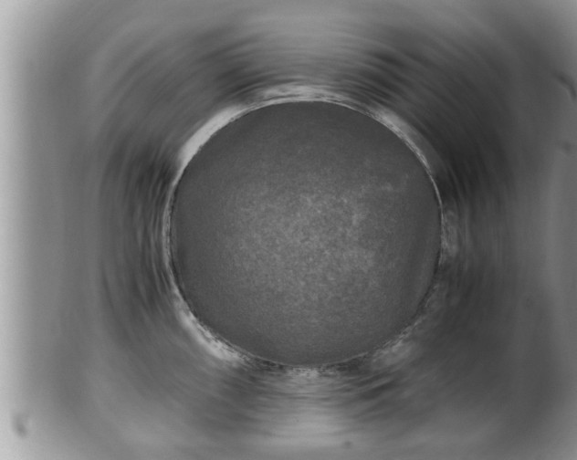 X0000102301098200808011534