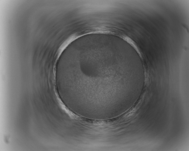 X0000102301099200808011534