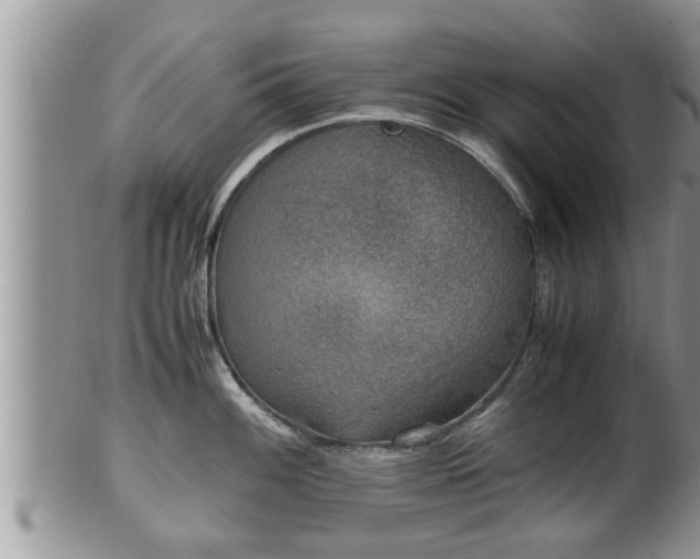 X0000102301100200808011534