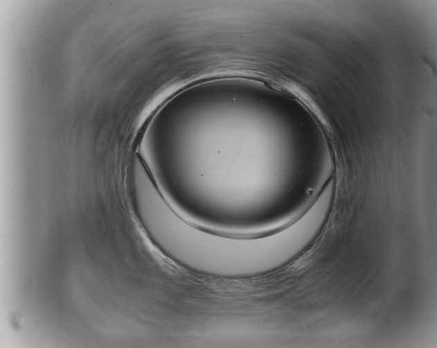 X0000102301101200808011534