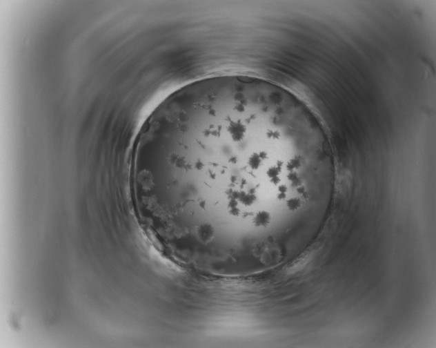 X0000102301102200808011534