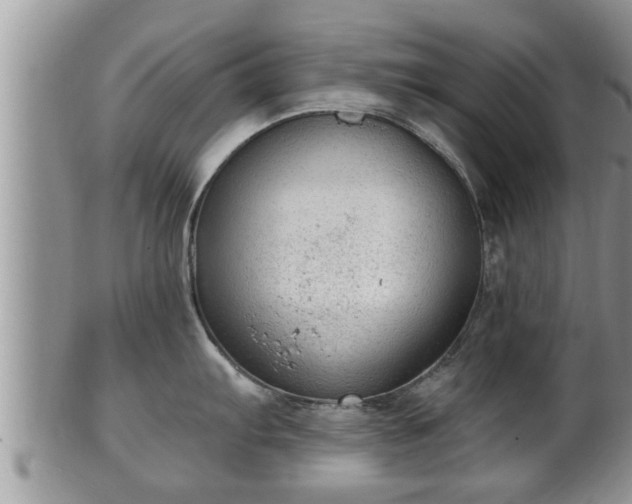 X0000102301103200808011534