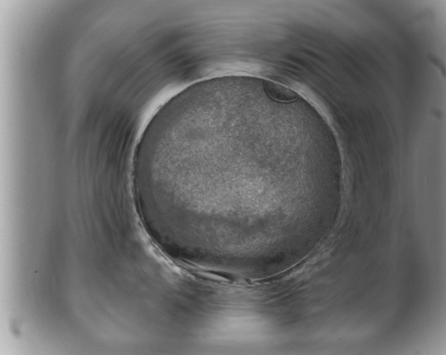 X0000102301104200808011534