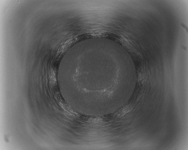 X0000102301106200808011533