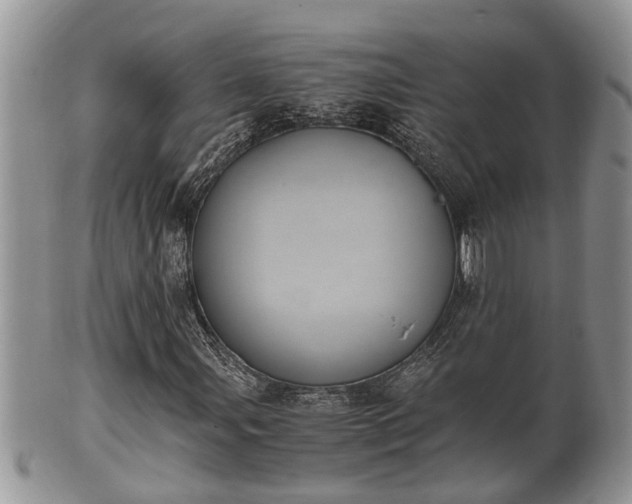 X0000102301107200808011533