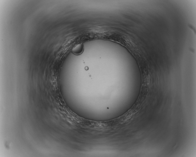 X0000102301109200808011533