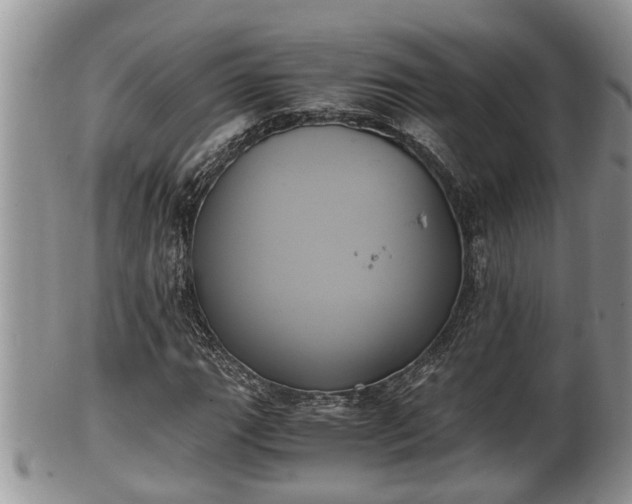 X0000102301111200808011533