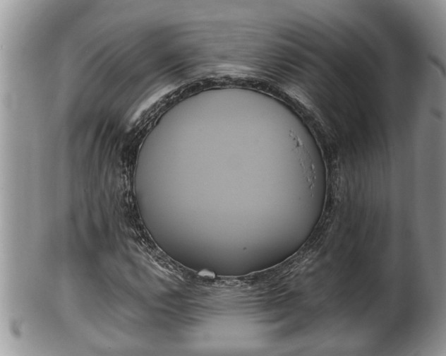 X0000102301112200808011533