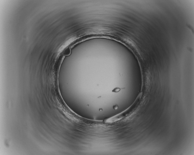 X0000102301114200808011533