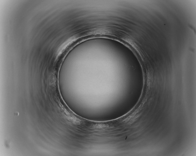 X0000102301115200808011533