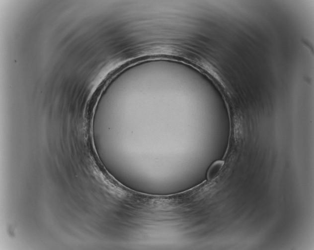 X0000102301116200808011533