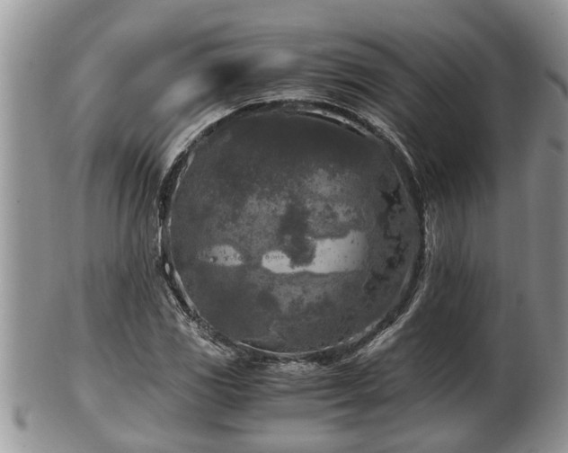 X0000102301117200808011533